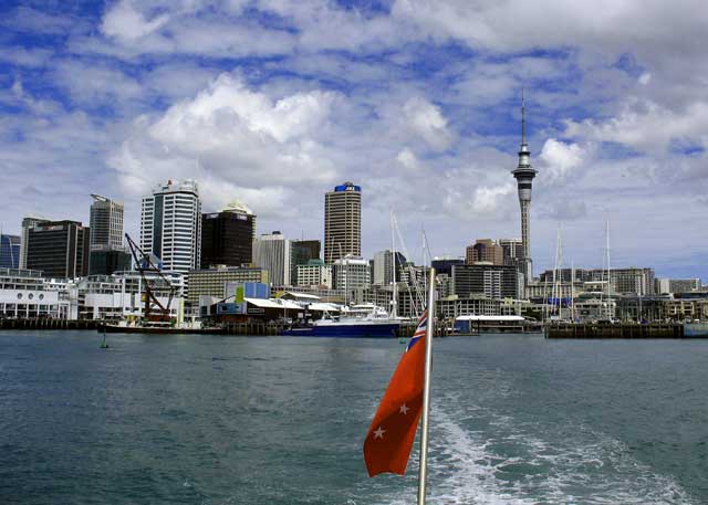 auckland scene