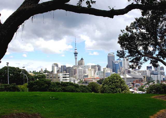 auckland scene