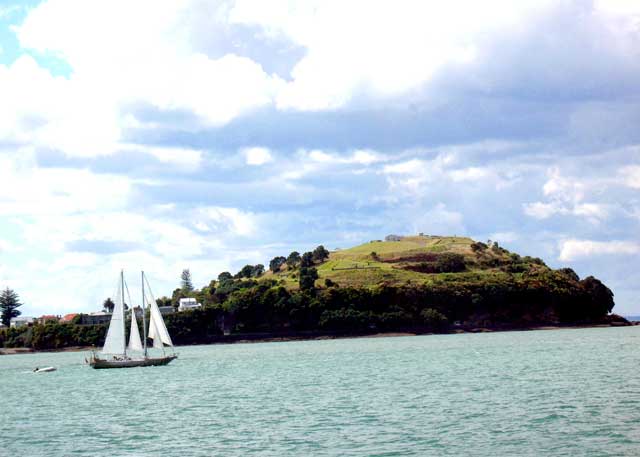 auckland scene